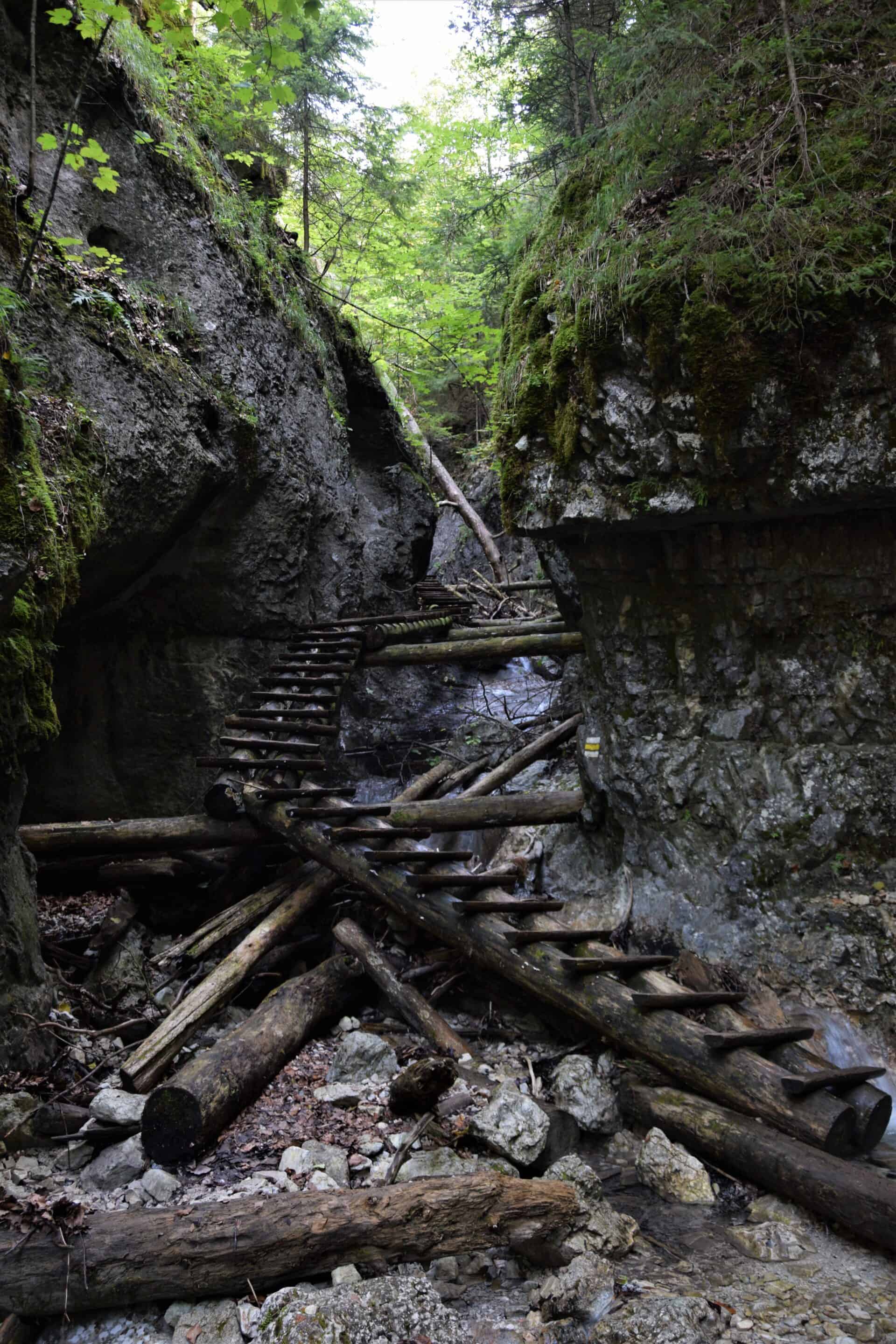 wooden walkways leading into a narrow crevice above a stream, Small Stoves Gorge, Slovakia