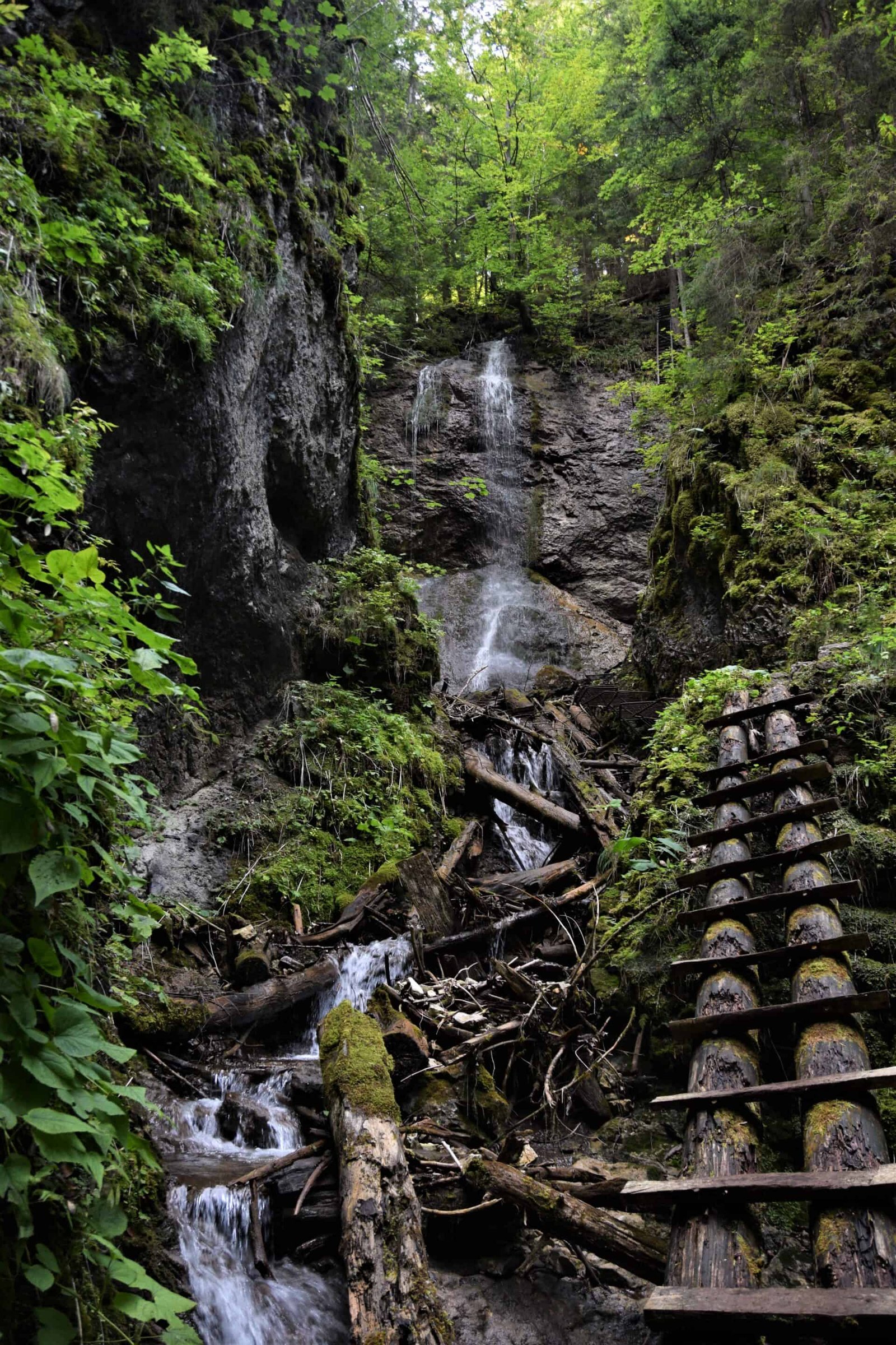 a wooden ladder leaning agains the wet rock next to a cascading waterfall surrounded by trees, Sokolí potok Gorge, Slovakia