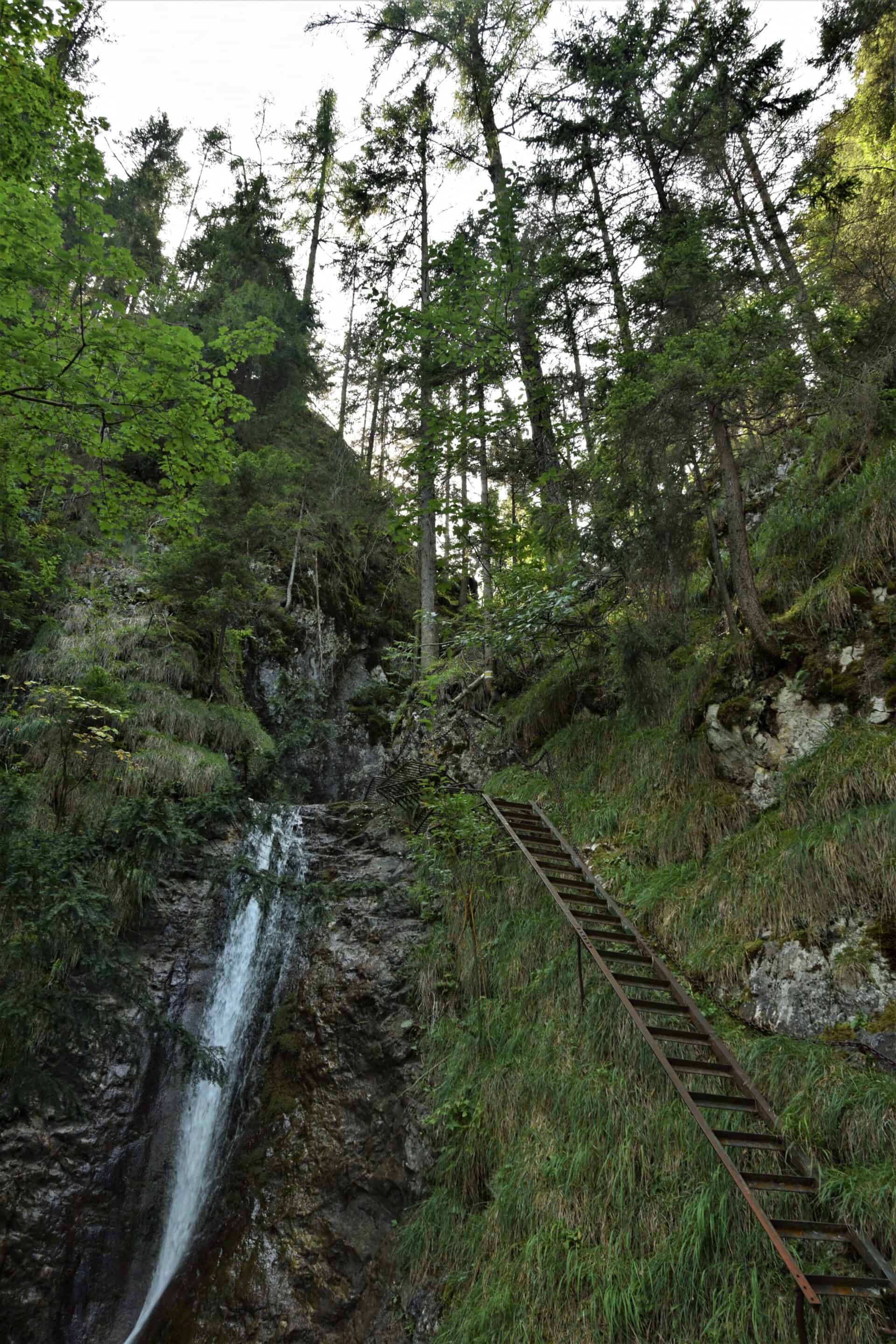 a metal ladder running across a slope covered in grass next to a small waterfall, Sokolí potok, Slovakia