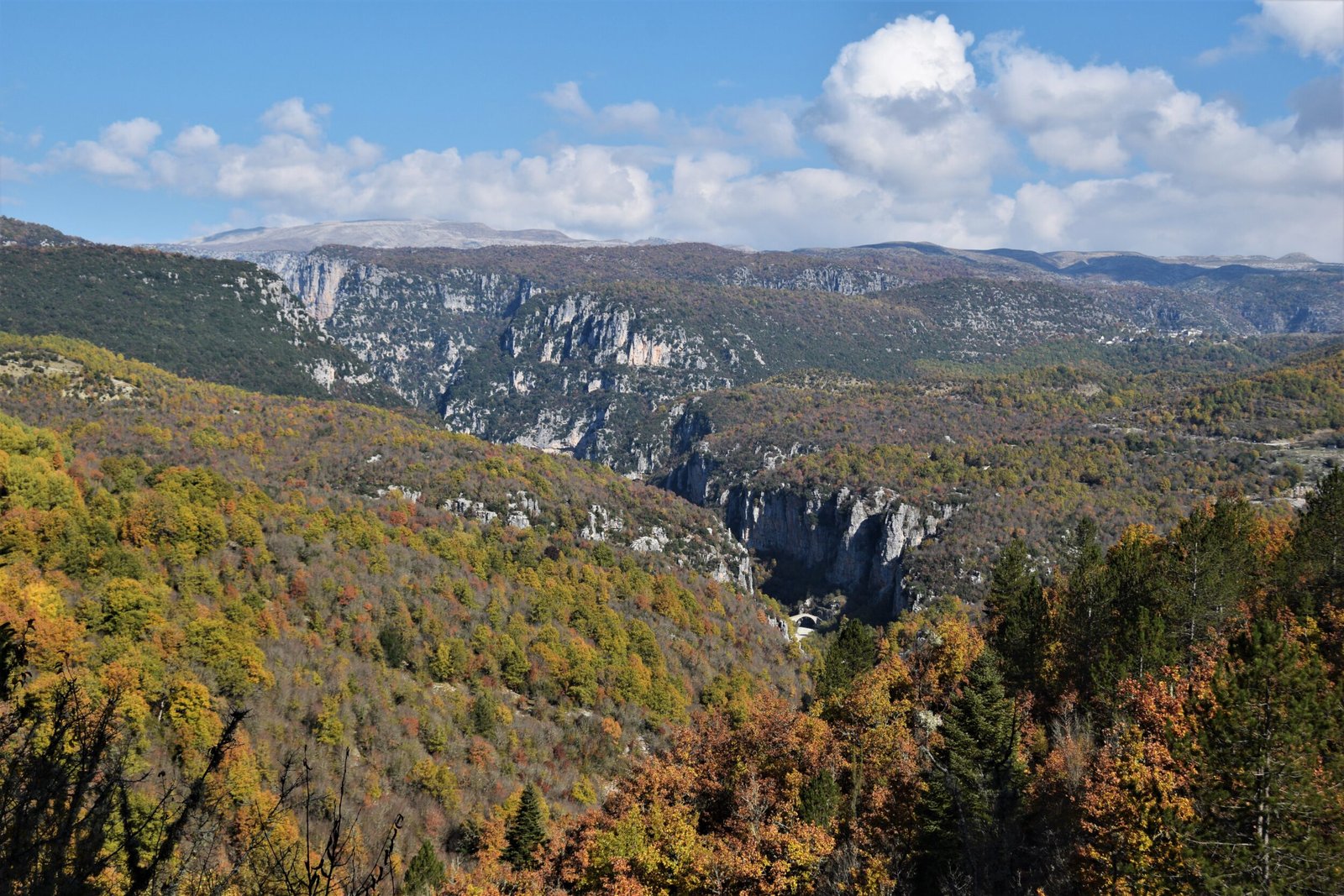 a deep gorge cuts through the forested hills and plateaus of a mountain range in autumn