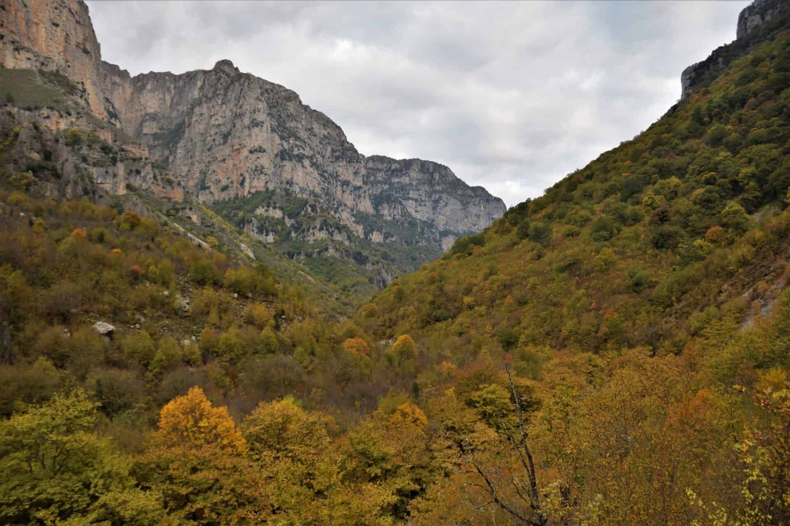 valley floor covered in autumnal trees flanked by high-rising cliffs on both sides