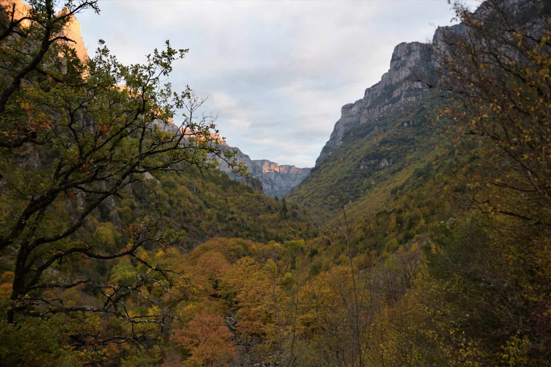 valley floor covered by trees in fall colours flanked by high-rising cliffs