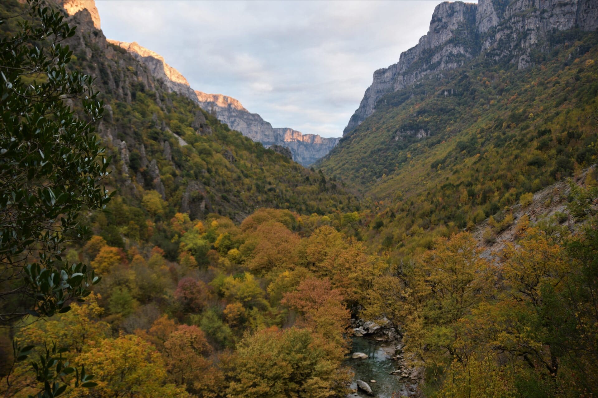 valley floor covered in autumnal trees flanked by high-rising cliffs on both sides