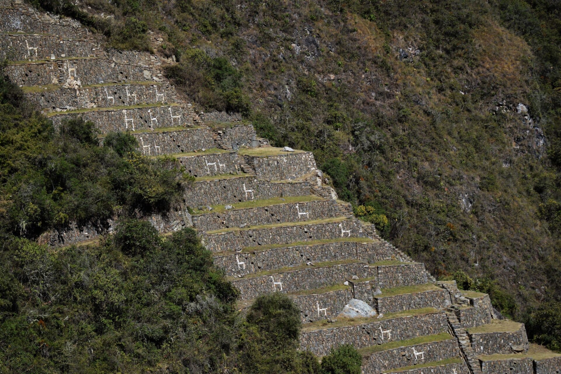 terraces leading down a steep mountain slope, decorated with depictions of llamas made of white stone