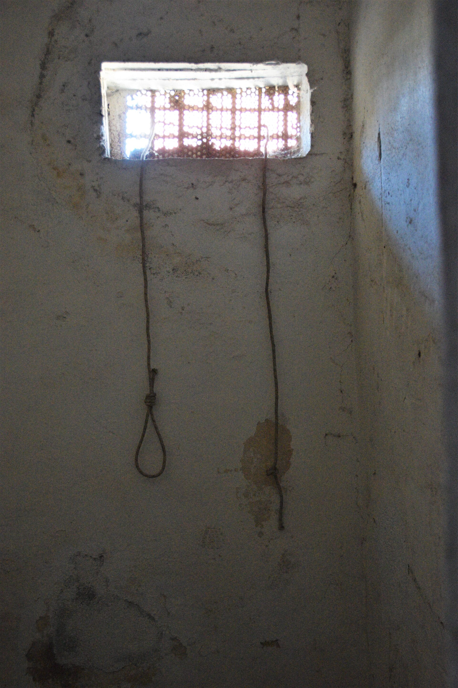 a nose hanging from a barred window in a prison cell