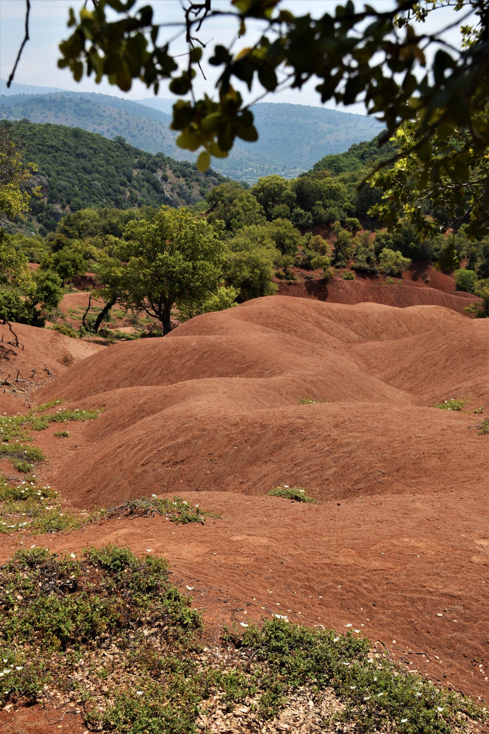 a red clay mound snakes towards a verdant forest