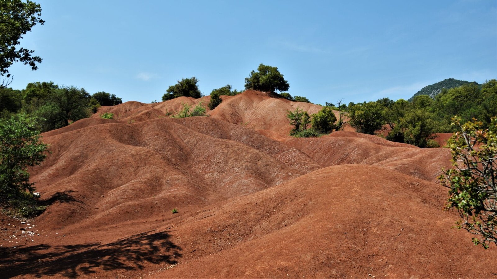 a few trees grow on red clay hills