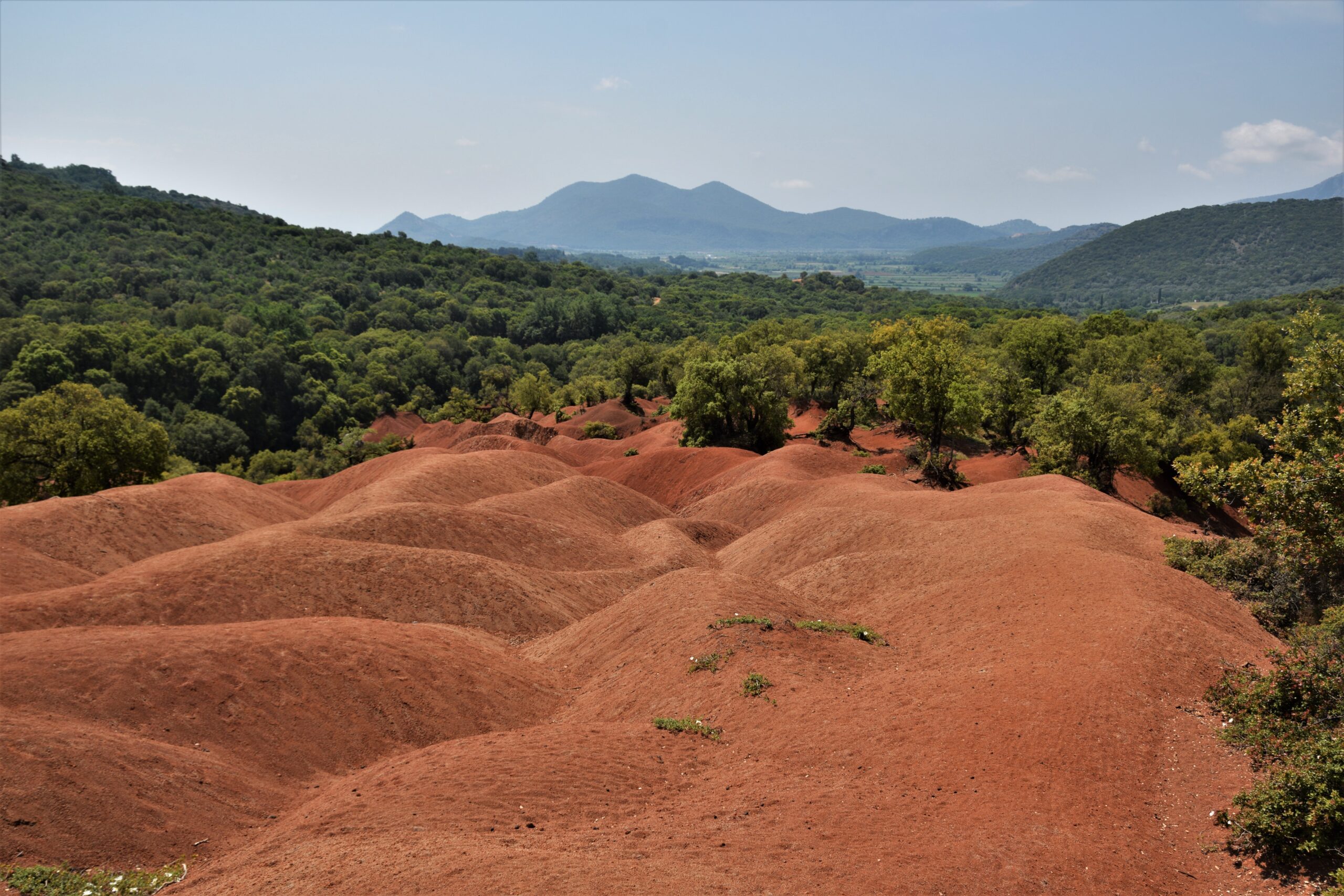 red clay hills surrounded by verdant forest