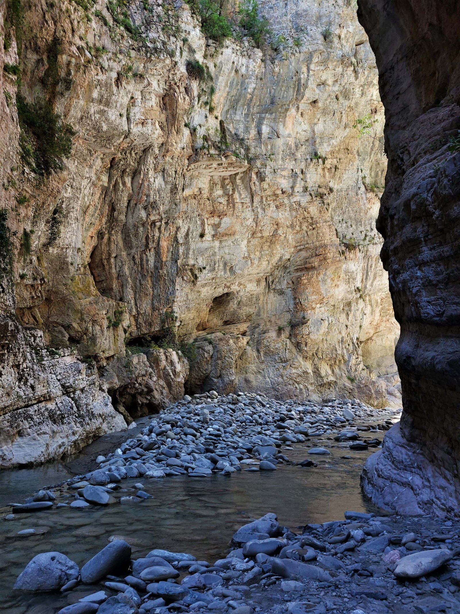 a river running through a narrow canyon
