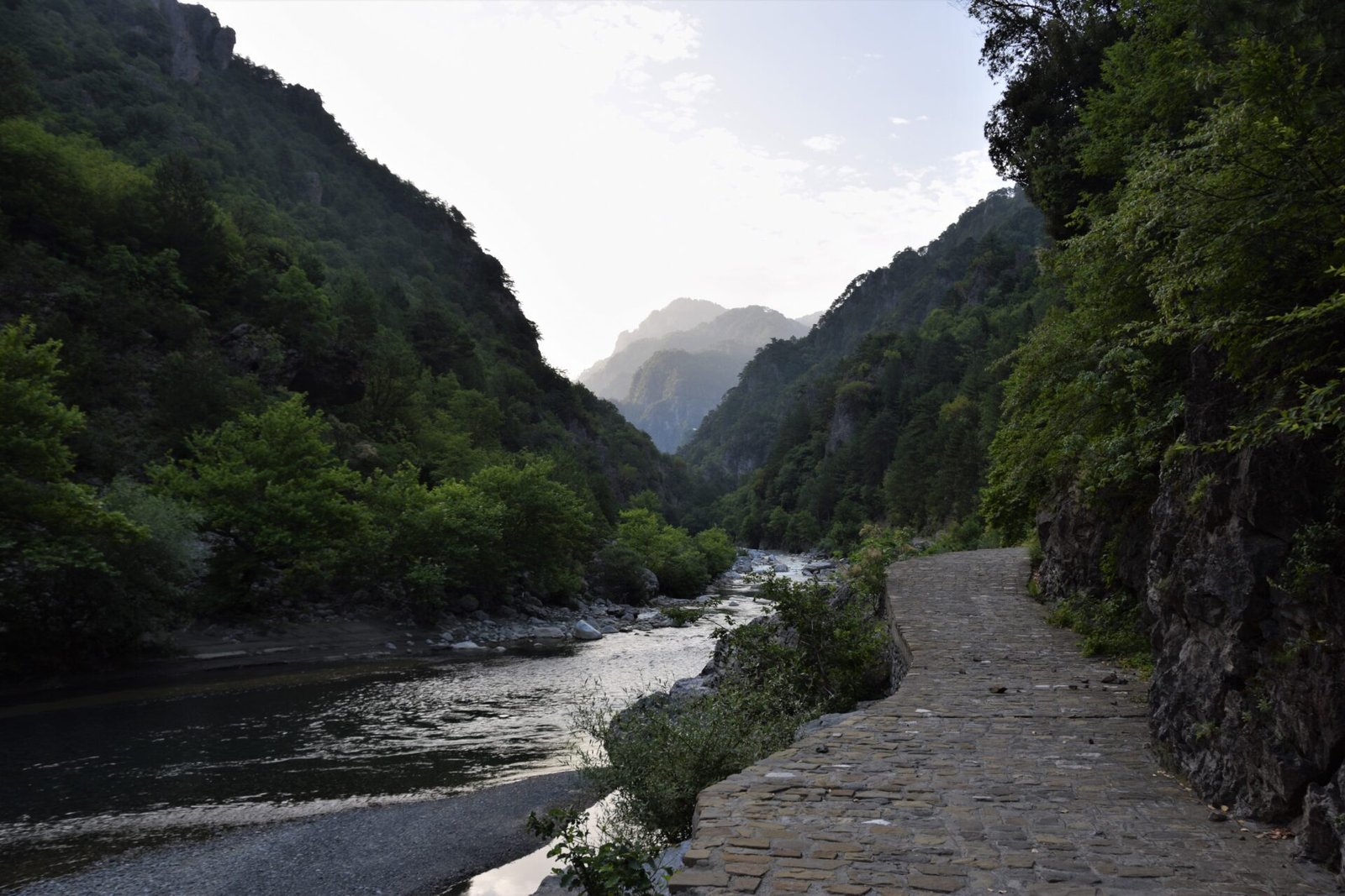 a stone path runs along a stream in a verdant canyon