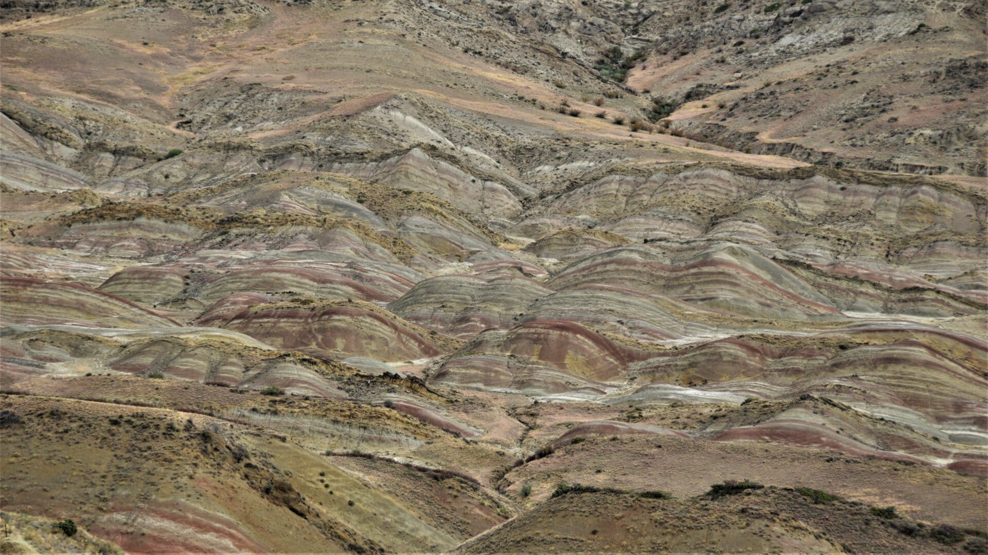 rainbow coloured hills in the southern steppes of Georgia
