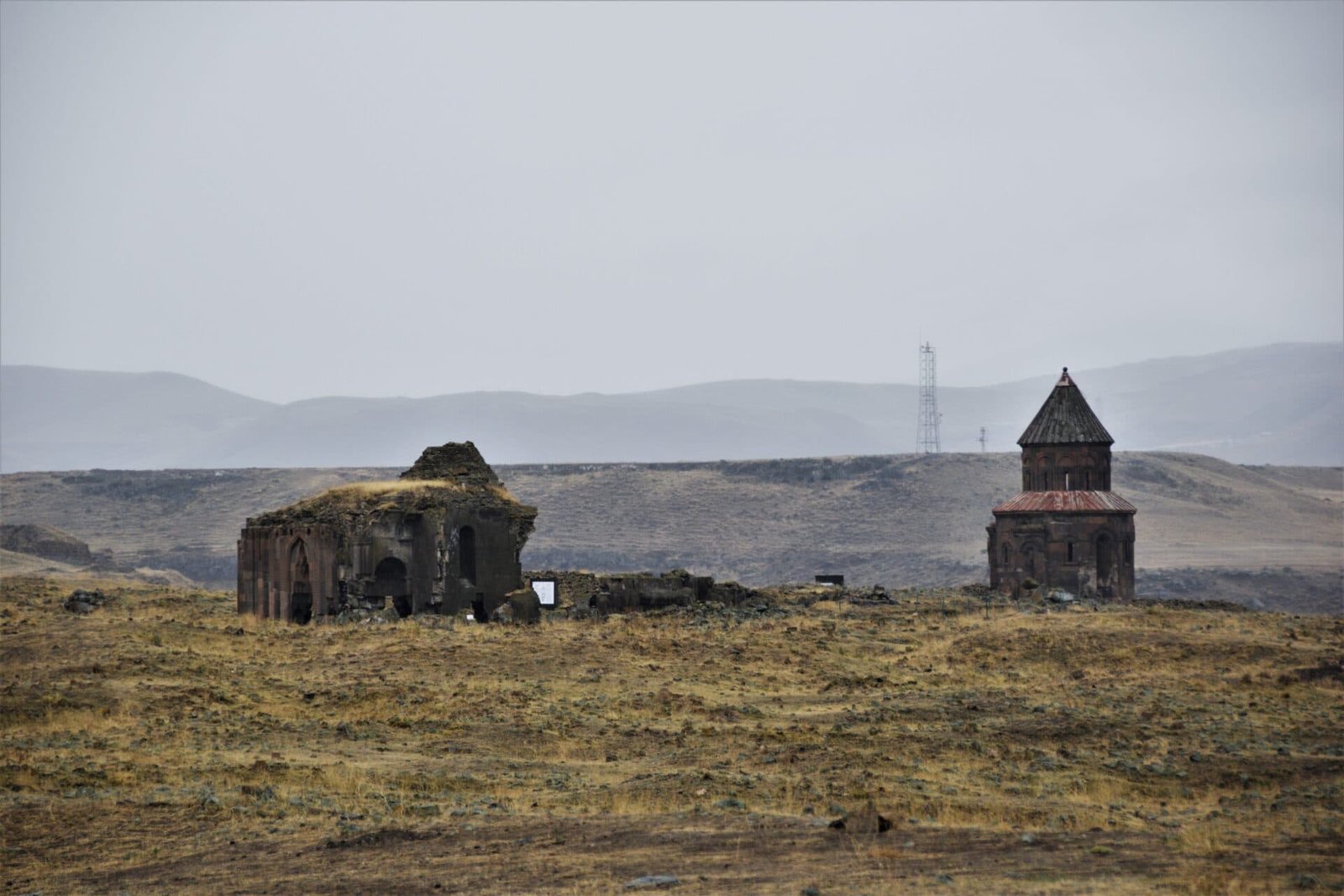 two abandoned church ruins stand in a withered field in the ancient city of Ani