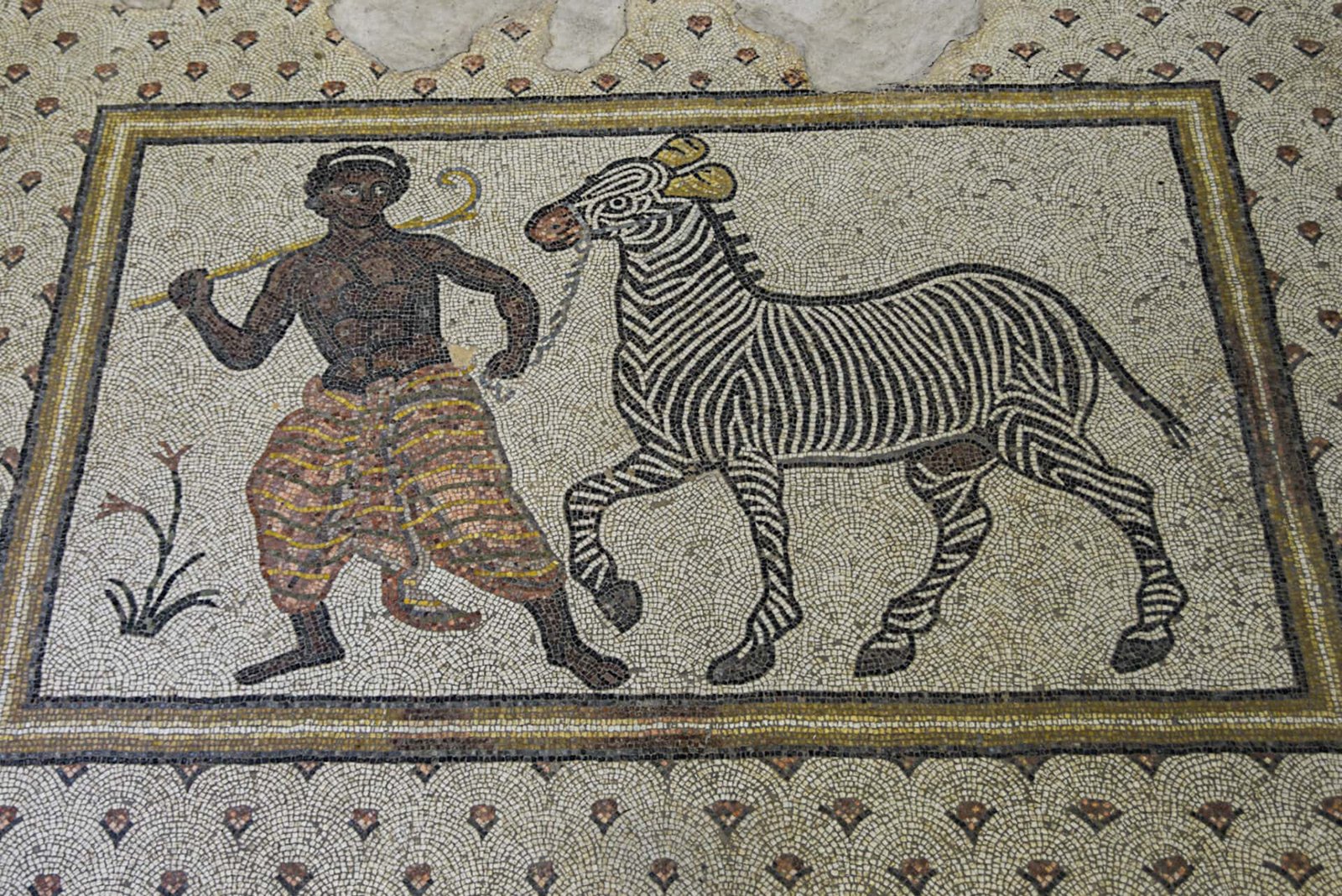 a Roman mosaic showing an African holding the reigns of a zebra