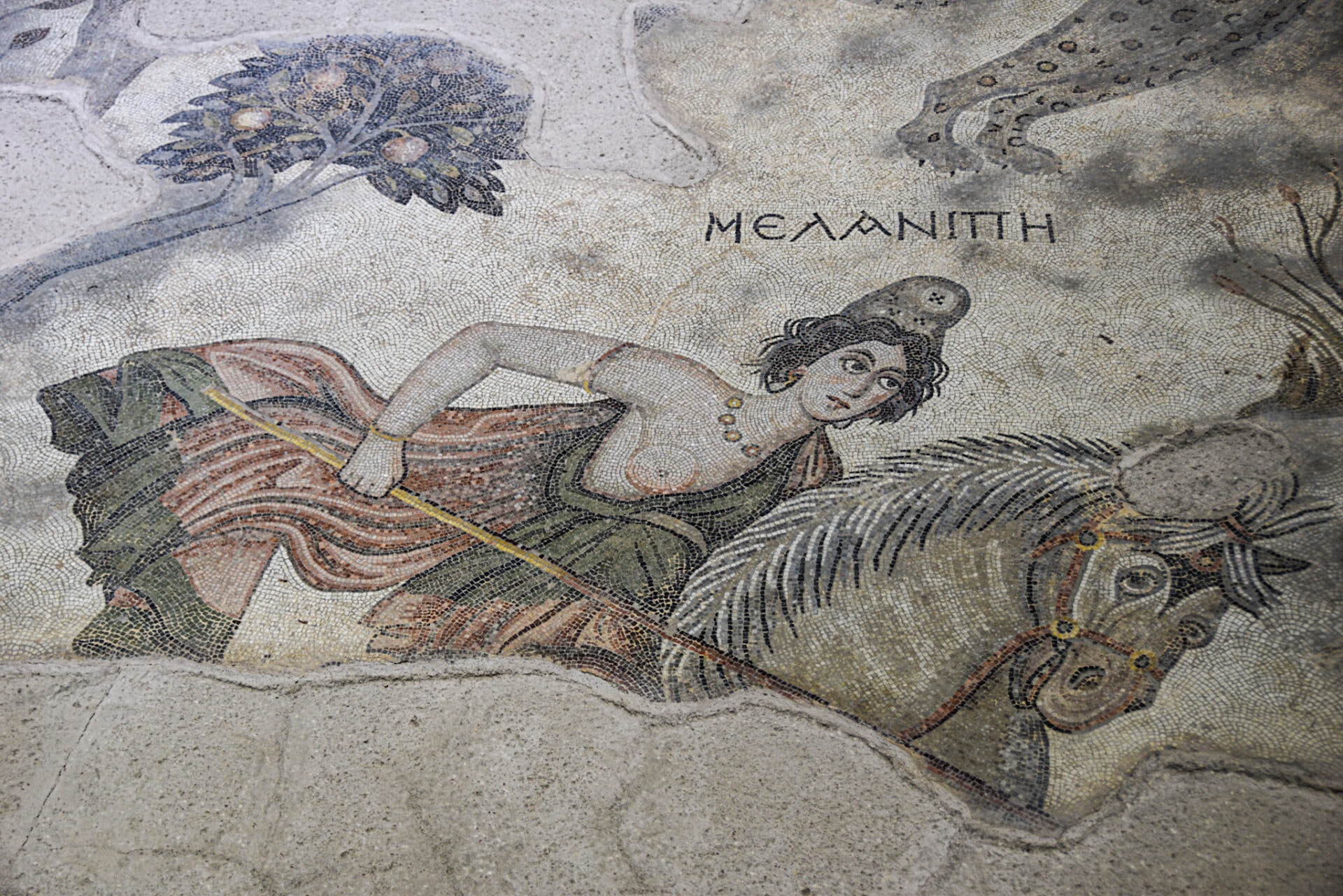 a Roman mosaic showing a Amazon Queen riding a horse and holding a spear