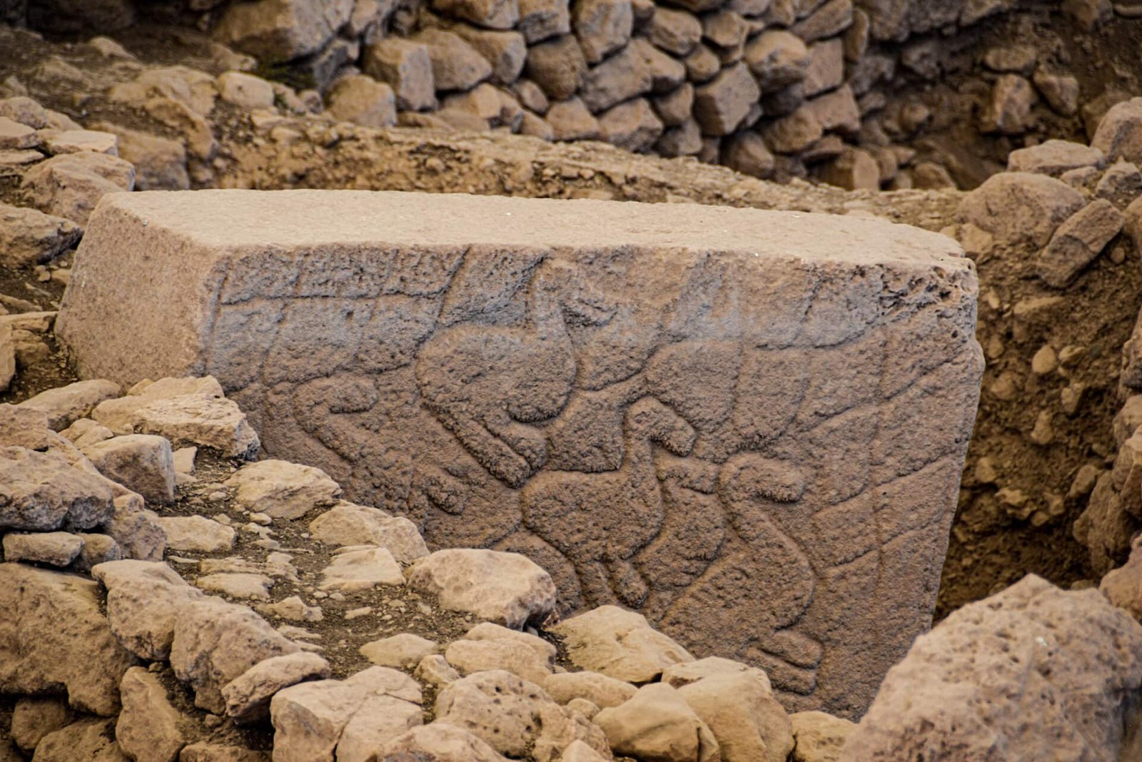 monolithic t-shaped pillars, adorned with birds in Göbekli Tepe
