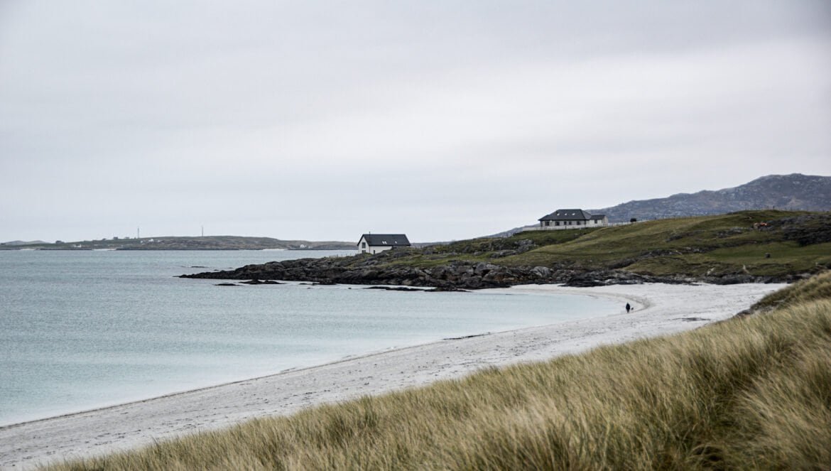 swaying gras behind a sandy beach on the isle of Eriskay