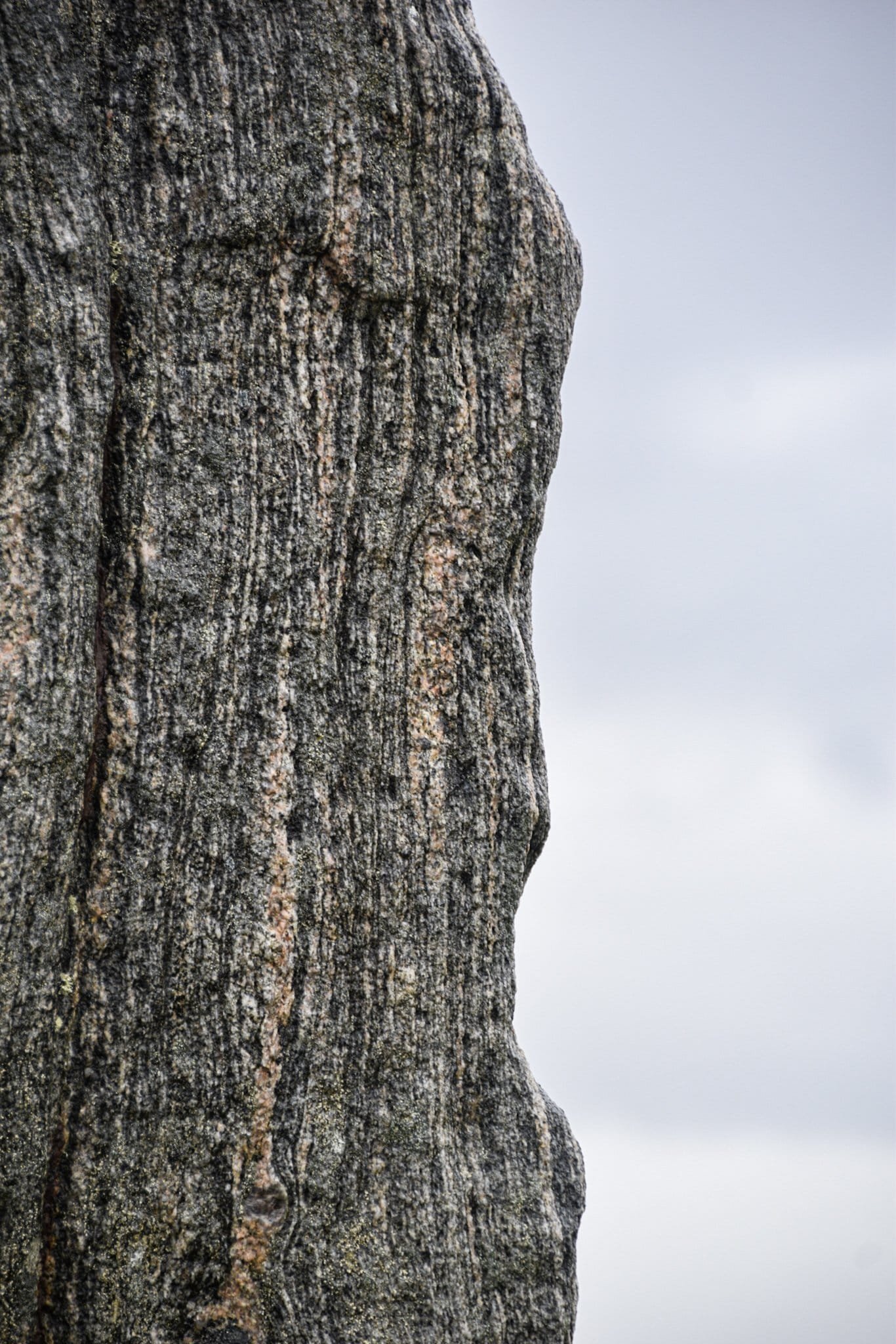 close-up textures of a standing stone